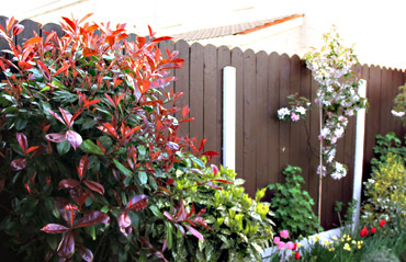 Round Top Panels Fence
