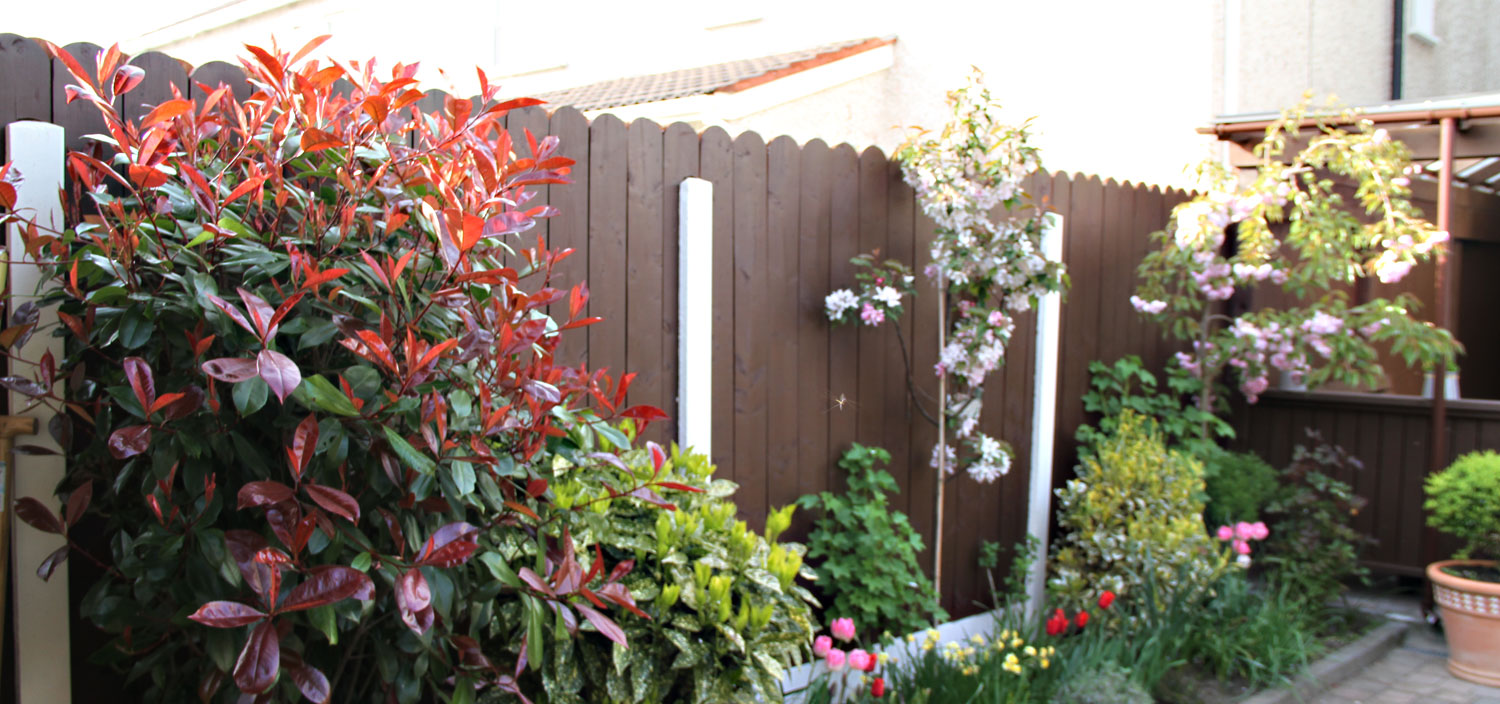 Round Panel Fence 3